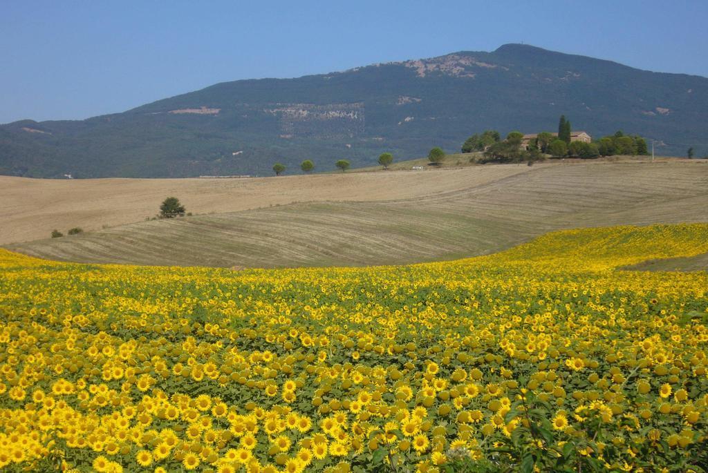 B&B Giuseppe Chiusi Dış mekan fotoğraf
